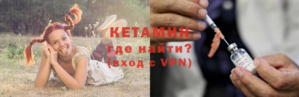 шишки Беломорск