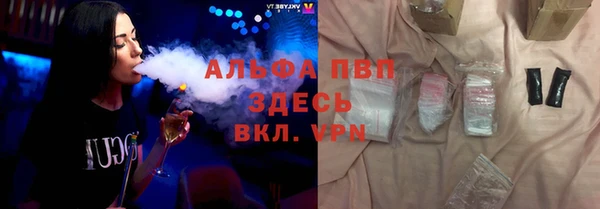 шишки Беломорск