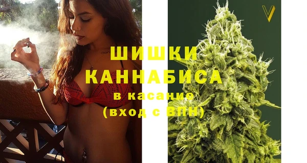 шишки Беломорск