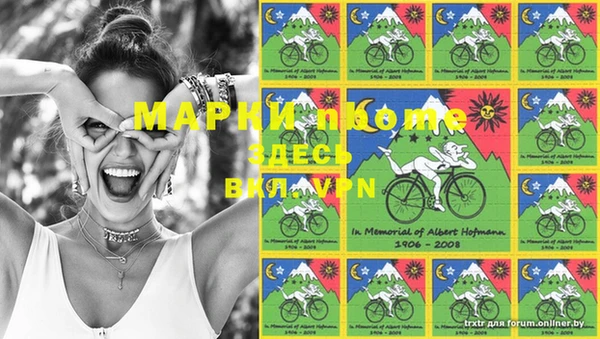 шишки Беломорск
