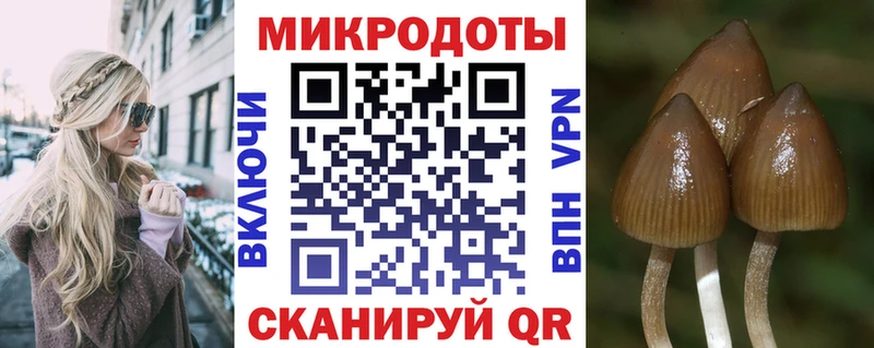 наркотики  Новосокольники  Галлюциногенные грибы Psilocybine cubensis 